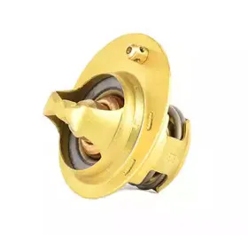 Термостат, охлаждающая жидкость BSG купить